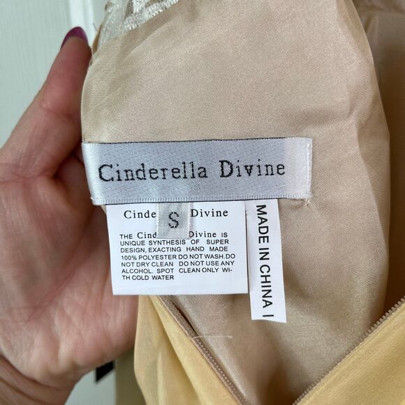 Beaded Long Sleeveless Illusion Dress by Cinderella Divine Maxi Party Dress - Picture 8 of 12